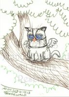 Grumpy Owl Cat